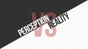 perception_reality[1]