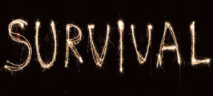 silvester-survival-logo-big-slim_460[1]