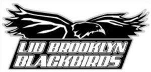liu-brooklyn-blackbirds-85589040